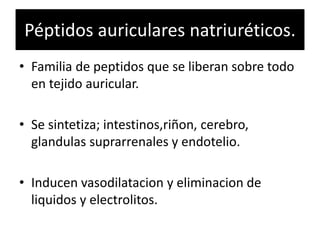 Péptidos auriculares natriuréticos.
• Familia de peptidos que se liberan sobre todo
en tejido auricular.
• Se sintetiza; intestinos,riñon, cerebro,
glandulas suprarrenales y endotelio.
• Inducen vasodilatacion y eliminacion de
liquidos y electrolitos.
 