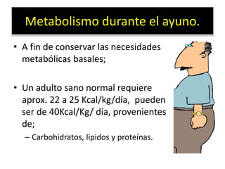 Metabolismo durante el ayuno.
• A fin de conservar las necesidades
metabólicas basales;
• Un adulto sano normal requiere
aprox. 22 a 25 Kcal/kg/día, pueden
ser de 40Kcal/Kg/ día, provenientes
de;
– Carbohidratos, lípidos y proteínas.
 