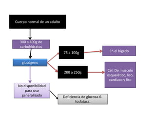 Cuerpo normal de un adulto
300 a 400g de
carbohidratos
glucógeno
En el hígado75 a 100g
200 a 250g Cel. De musculo
esquelético, liso,
cardiaco y liso
No disponibilidad
para uso
generalizado Deficiencia de glucosa-6-
fosfatasa.
 