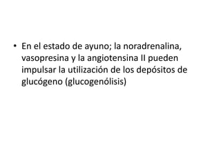 • En el estado de ayuno; la noradrenalina,
vasopresina y la angiotensina II pueden
impulsar la utilización de los depósitos de
glucógeno (glucogenólisis)
 