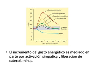 • El incremento del gasto energético es mediado en
parte por activación simpática y liberación de
catecolaminas.
 