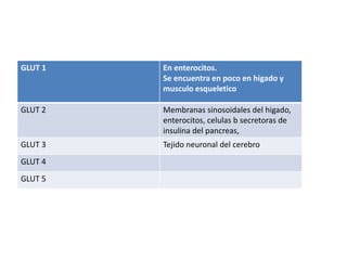 GLUT 1 En enterocitos.
Se encuentra en poco en higado y
musculo esqueletico
GLUT 2 Membranas sinosoidales del higado,
enterocitos, celulas b secretoras de
insulina del pancreas,
GLUT 3 Tejido neuronal del cerebro
GLUT 4
GLUT 5
 