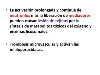 • La activación prolongada y continua de
neutrófilos más la liberación de mediadores
pueden causar lesión de tejidos por la
síntesis de metabolitos tóxicos del oxigeno y
enzimas lisosomales.
• Trombosis microvascular y activan las
mieloperoxidasas.
 