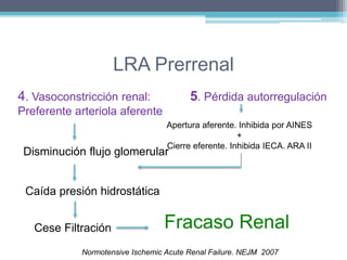 LRA Prerrenal 
4. Vasoconstricción renal: 
Preferente arteriola aferente 
Apertura aferente. Inhibida por AINES 
Cierre eferente. Inhibida IECA. ARA II 
Disminución flujo glomerular 
Caída presión hidrostática 
5. Pérdida autorregulación 
+ 
Cese Filtración Fracaso Renal 
Normotensive Ischemic Acute Renal Failure. NEJM 2007 
 
