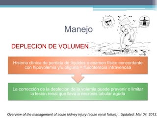 Manejo 
DEPLECION DE VOLUMEN 
Historia clínica de perdida de líquidos o examen físico concordante 
con hipovolemia y/u oliguria = fluidoterapia intravenosa 
La corrección de la depleción de la volemia puede prevenir o limitar 
la lesión renal que lleva a necrosis tubular aguda 
Overview of the management of acute kidney injury (acute renal failure) . Updated: Mar 04, 2013. 
 