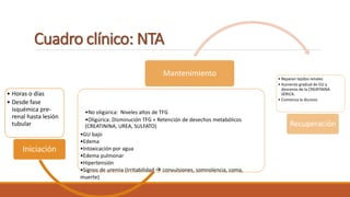 Cuadro clínico: NTA
• Horas o días
• Desde fase
isquémica pre-
renal hasta lesión
tubular
Iniciación
•No oligúrica: Niveles altos de TFG
•Oligúrica: Disminución TFG + Retención de desechos metabólicos
(CREATININA, UREA, SULFATO)
•GU bajo
•Edema
•Intoxicación por agua
•Edema pulmonar
•Hipertensión
•Signos de uremia (Irritabilidad  convulsiones, somnolencia, coma,
muerte)
Mantenimiento
• Reparan tejidos renales
• Aumento gradual de GU y
descenso de la CREATININA
SÉRICA.
• Comienza la diuresis
Recuperación
 
