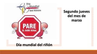Día mundial del riñón
Segundo jueves
del mes de
marzo
 