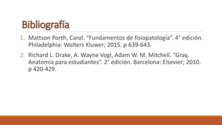 Bibliografía
1. Mattson Porth, Carol. “Fundamentos de fisiopatología”. 4° edición.
Philadelphia: Wolters Kluwer; 2015. p 639-643.
2. Richard L. Drake, A. Wayne Vogl, Adam W. M. Mitchell. “Gray,
Anatomía para estudiantes”. 2° edición. Barcelona: Elsevier; 2010.
p 420-429.
 