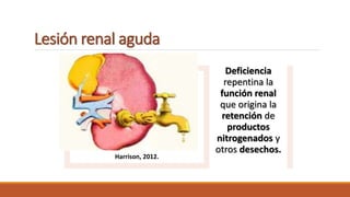 Lesión renal aguda
Harrison, 2012.
Deficiencia
repentina la
función renal
que origina la
retención de
productos
nitrogenados y
otros desechos.
 