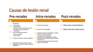Causas de lesión renal
Pre-renales
Hipovolemia
• Hemorragia
• Deshidratación
• Pérdida excesiva de líquidos por vía GI
• Pérdida excesiva de líquidos por
quemadura
Descenso del llenado vascular
• Shock anafiláctica
• Shock séptico
Insuficiencia cardiaca y shock cardiogénico
Descenso de perfusión renal por sepsis,
mediadores vasoactivos, fármacos, agentes
diagnósticos
Intra-renales
Necrosis tubular aguda
Isquemia renal prolongada
Exposición a fármacos nefrotóxicos, metales
pesados y solventes orgánicos.
Obstrucción intratubular por
hemoglobinuria, mioglobinuria, cadenas
ligeras de la proteína del mieloma o cilindros
de acido úrico.
Enfermedad renal aguda (Glomerulonefritis
aguda o pielonefritis).
Post-renales
Obstrucción ureteral bilateral
Obstrucción de la salida vesical
 