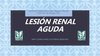 C
LESIÓN RENAL
AGUDA
RIMF CLEMEN ANAIS CASTAÑEDA BERISTAIN
Instituto Mexicano del Seguro Social
UMF No. 66 Xalapa, Ver.
 