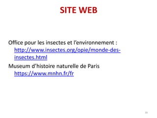 SITE WEB

Office pour les insectes et l’environnement :
http://www.insectes.org/opie/monde-desinsectes.html
Museum d’histo...