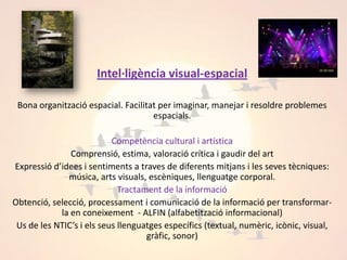  Intel·ligència visual-espacial