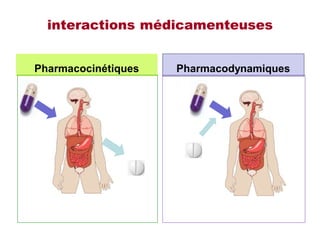 interactions médicamenteuses
Pharmacocinétiques Pharmacodynamiques
 