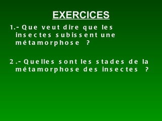 EXERCICES 1.- Que veut dire que les insectes subissent une métamorphose ? 2.- Quelles sont les stades de la métamorphose des insectes ? 