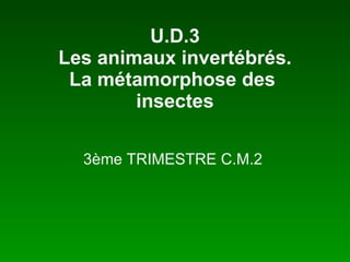 U.D.3 Les animaux invertébrés. La métamorphose des  insectes 3ème TRIMESTRE C.M.2  