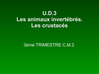 U.D.3 Les animaux invertébrés. Les crustacés 3ème TRIMESTRE C.M.2  