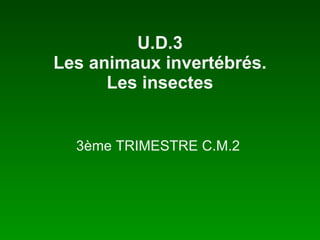 U.D.3 Les animaux invertébrés. Les insectes 3ème TRIMESTRE C.M.2  
