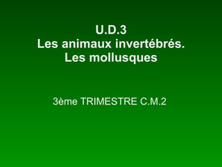 U.D.3 Les animaux invertébrés. Les mollusques 3ème TRIMESTRE C.M.2  