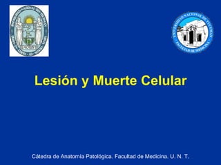 Lesión y Muerte Celular Cátedra de Anatomía Patológica. Facultad de Medicina. U. N. T. 