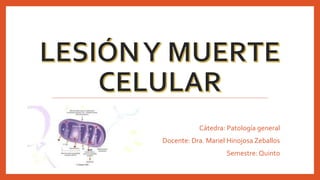 Cátedra: Patología general
Docente: Dra. Mariel Hinojosa Zeballos
Semestre: Quinto
 