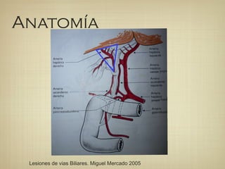 Anatomía
Lesiones de vias Biliares. Miguel Mercado 2005
 