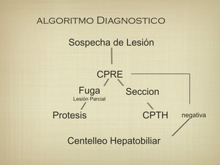 algoritmo Diagnostico
Sospecha de Lesión
CPRE
Fuga
Lesión Parcial
Seccion
CPTHProtesis
Centelleo Hepatobiliar
negativa
 