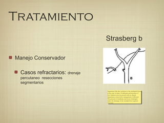 Tratamiento
Manejo Conservador
Casos refractarios: drenaje
percutaneo resecciones
segmentarios
Strasberg b
Segmentary bile duct occlusion is the etiological factor
in this type of injury. If mild pain and elevation of
liver function tests are present with no clinical
impairment, conservative management is followed.
The presence of moderate and severe cholangitis
makes the drainage of the occluded liver segment
necessary.
Segmentary bile duct occlusion is the etiological factor
in this type of injury. If mild pain and elevation of
liver function tests are present with no clinical
impairment, conservative management is followed.
The presence of moderate and severe cholangitis
makes the drainage of the occluded liver segment
necessary.
 