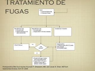 Tratamiento de
fugas
Postoperative Bile Duct Injuries Kourosh F. Ghassemi, MD, and Janak N. Shah, MDTech
Gastrointest Endosc 8:81-91 2006
 