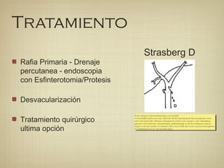 Tratamiento
Rafia Primaria - Drenaje
percutanea - endoscopia
con Esfinterotomia/Protesis
Desvacularización
Tratamiento quirúrgico
ultima opción
Strasberg D
In the setting of a devascularized duct, even if small
5-0 absorbable stitches are used, a bile leak will develop during the first postoperative week
with concomitant bile collections. Management of these cases requires a mul- tidisciplinary
approach with endoscopy and radiological- guided drainage as the first therapeutic options.
Surgery is the last resource of treatment when a loss of bile duct tissue is present and migration
of a Strasberg D to E in- jury has taken place.
In the setting of a devascularized duct, even if small
5-0 absorbable stitches are used, a bile leak will develop during the first postoperative week
with concomitant bile collections. Management of these cases requires a mul- tidisciplinary
approach with endoscopy and radiological- guided drainage as the first therapeutic options.
Surgery is the last resource of treatment when a loss of bile duct tissue is present and migration
of a Strasberg D to E in- jury has taken place.
 