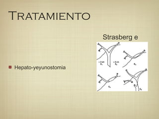 Tratamiento
Hepato-yeyunostomia
Strasberg e
 