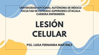 LESIÓN
CELULAR
UNIVERSIDAD NACIONAL AUTÓNOMA DE MÉXICO
FACULTAD DE ESTDUIOS SUPERIORES IZTACALA
CARRERA ENFERMERÍA
PSS. LUISA FERNANDA MARTÍNEZ
 