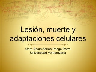 Lesión, muerte y
adaptaciones celulares
Univ. Bryan Adrian Priego Parra
Universidad Veracruzana
 