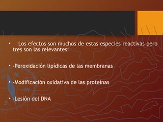 • Los efectos son muchos de estas especies reactivas pero
tres son las relevantes:
• -Peroxidación lipídicas de las membranas
• -Modificación oxidativa de las proteínas
• -Lesión del DNA
 