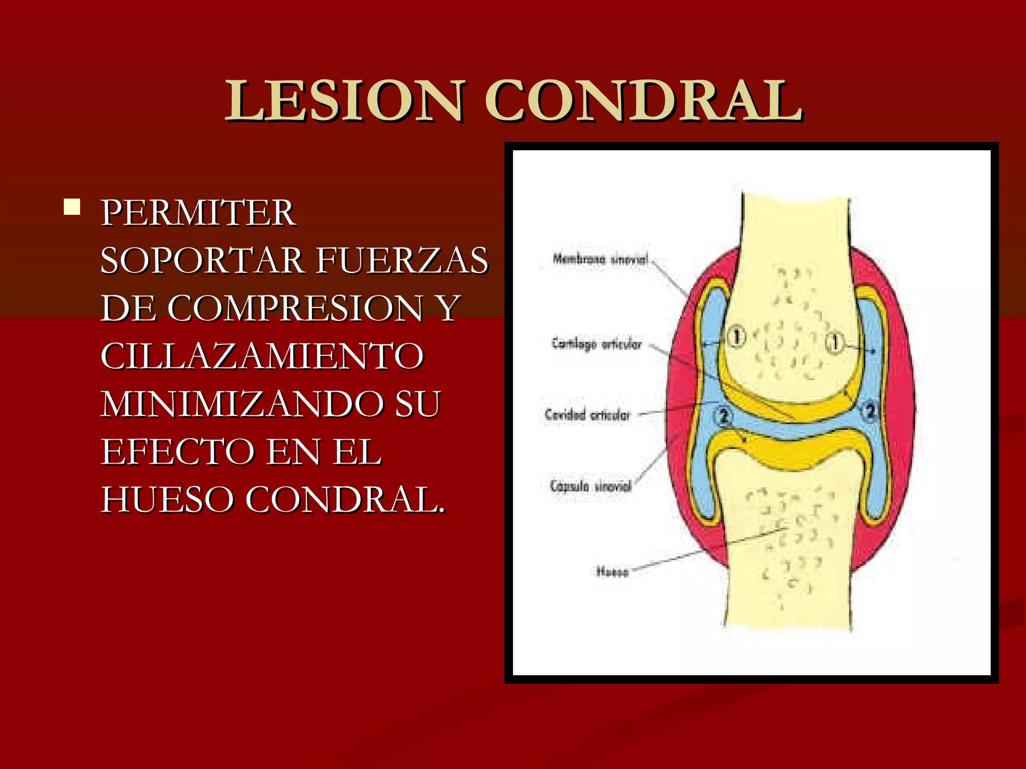 Lesion condral principios y clasificaciones | PPT