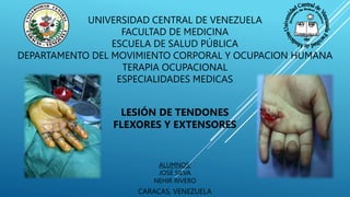 UNIVERSIDAD CENTRAL DE VENEZUELA
FACULTAD DE MEDICINA
ESCUELA DE SALUD PÚBLICA
DEPARTAMENTO DEL MOVIMIENTO CORPORAL Y OCUPACION HUMANA
TERAPIA OCUPACIONAL
ESPECIALIDADES MEDICAS
LESIÓN DE TENDONES
FLEXORES Y EXTENSORES
CARACAS, VENEZUELA
ALUMNOS:
JOSÉ SILVA
NEHIR RIVERO
 