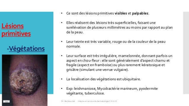 les Lesions elementaires en dermatologie