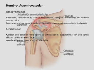 Hombro. Acromiovascular
Signos y Síntomas
Hinchazón, sensibilidad al tacto y decoloración, cualquier movimiento del hombro
causara dolor.
Cuando se produce una rotura de los ligamentos tiene un desplazamiento la clavícula.

Rehabilitación
•Colocar una bolsa de hielo sobre las articulaciones asegurándola con una venda
elástica ceñida en forma de 8.
•Vendar el brazo y ponerlo en un cabestrillo.

 