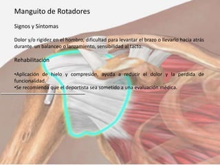 Manguito de Rotadores
Signos y Síntomas
Dolor y/o rigidez en el hombro, dificultad para levantar el brazo o llevarlo hacia atrás
durante un balanceo o lanzamiento, sensibilidad al tacto.

Rehabilitación
•Aplicación de hielo y compresión, ayuda a reducir el dolor y la perdida de
funcionalidad.
•Se recomienda que el deportista sea sometido a una evaluación médica.

 