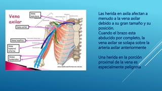Las herida en axila afectan a
menudo a la vena axilar
debido a su gran tamaño y su
posición.
Cuando el brazo esta
abducido por completo, la
vena axilar se solapa sobre la
arteria axilar anteriormente
Una herida en la porción
proximal de la vena es
especialmente peligrosa
 
