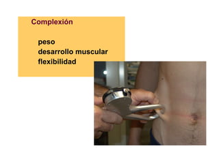 Complexión peso desarrollo muscular flexibilidad 