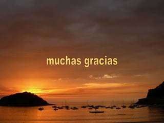 muchas gracias 