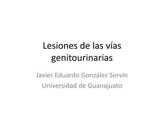 Lesiones de las vías
genitourinarias
Javier Eduardo González Servín
Universidad de Guanajuato
 