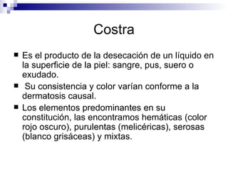 Costra Es el producto de la desecación de un líquido en la superficie de la piel: sangre, pus, suero o exudado. Su consistencia y color varían conforme a la dermatosis causal. Los elementos predominantes en su constitución, las encontramos hemáticas (color rojo oscuro), purulentas (melicéricas), serosas (blanco grisáceas) y mixtas.  