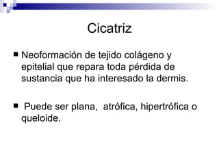 Cicatriz Neoformación de tejido colágeno y epitelial que repara toda pérdida de sustancia que ha interesado la dermis. Puede ser plana,  atrófica, hipertrófica o  queloide.  