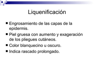Liquenificación Engrosamiento de las capas de la epidermis. Piel gruesa con aumento y exageración de los pliegues cutáneos. Color blanquecino u oscuro. Indica rascado prolongado. 