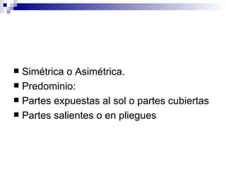 Simétrica o Asimétrica. Predominio: Partes expuestas al sol o partes cubiertas Partes salientes o en pliegues 