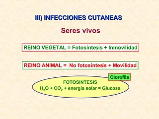 III) INFECCIONES CUTANEAS  Seres vivos REINO VEGETAL = Fotosíntesis + Inmovilidad REINO ANIMAL =  No fotosíntesis + Movilidad FOTOSINTESIS H 2 O + CO 2  + energía solar = Glucosa Clorofila 