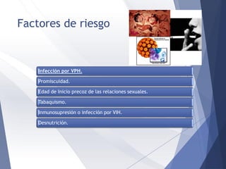 Factores de riesgo
Infección por VPH.
Promiscuidad.
Edad de Inicio precoz de las relaciones sexuales.
Tabaquismo.
Inmunosupresión o infección por VIH.
Desnutrición.
 