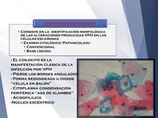 • Consiste en la identificación morfológica
de las alteraciones producidas VPH en las
células escamosas
• Examen citológico: Papanicolaou
• Convencional
• Base líquida
Diagnóstico morfológico
- El coilocito es la
manifestación clásica de la
infección por VPH
- Pierde los bordes angulados
- Forma redondeada u ovoide
“célula en balón”
- Citoplasma condensación
periférica “asa de alambre”
- Acidofililico
-Núcleo excéntrico
 